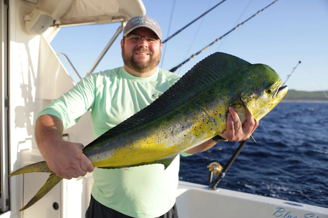 Is It Worth Fishing for Dorado in Cabo?