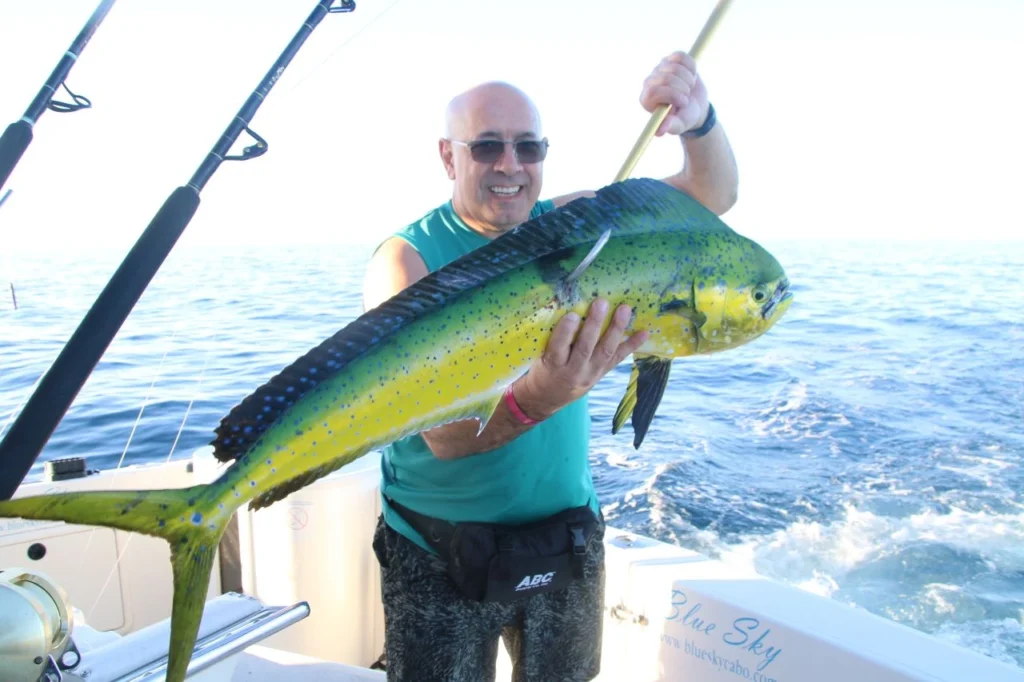 Sport Fishing in Cabo San Lucas