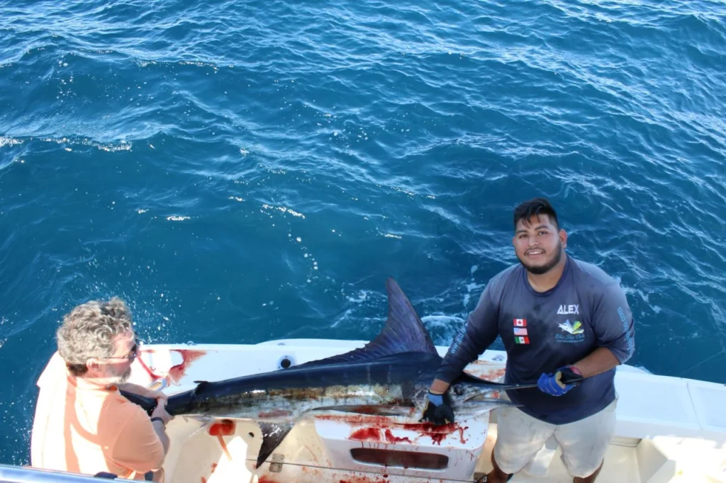 What Are the Best Fishing Months in Cabo San Lucas