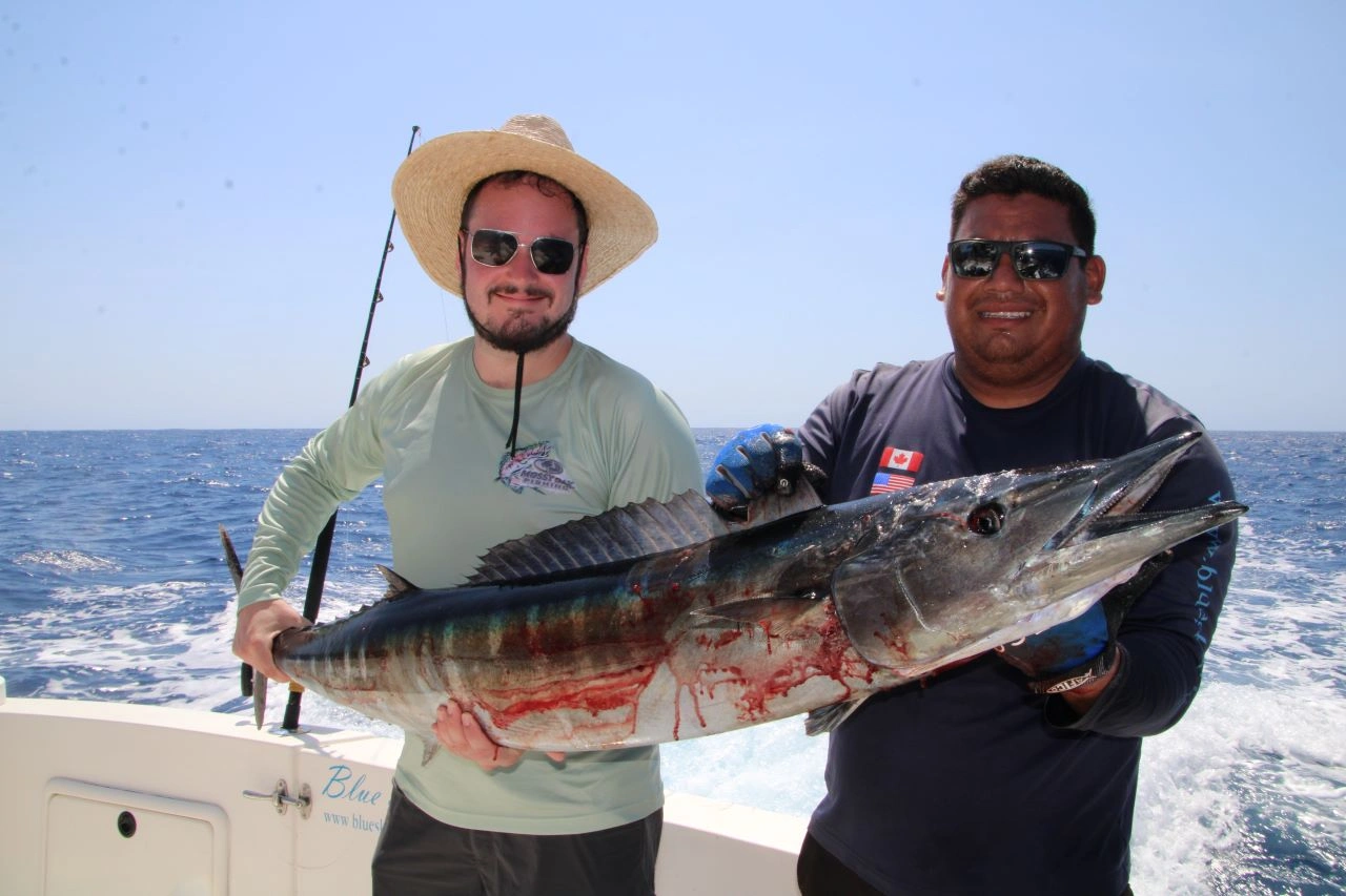 Cabo Fishing Report This Week