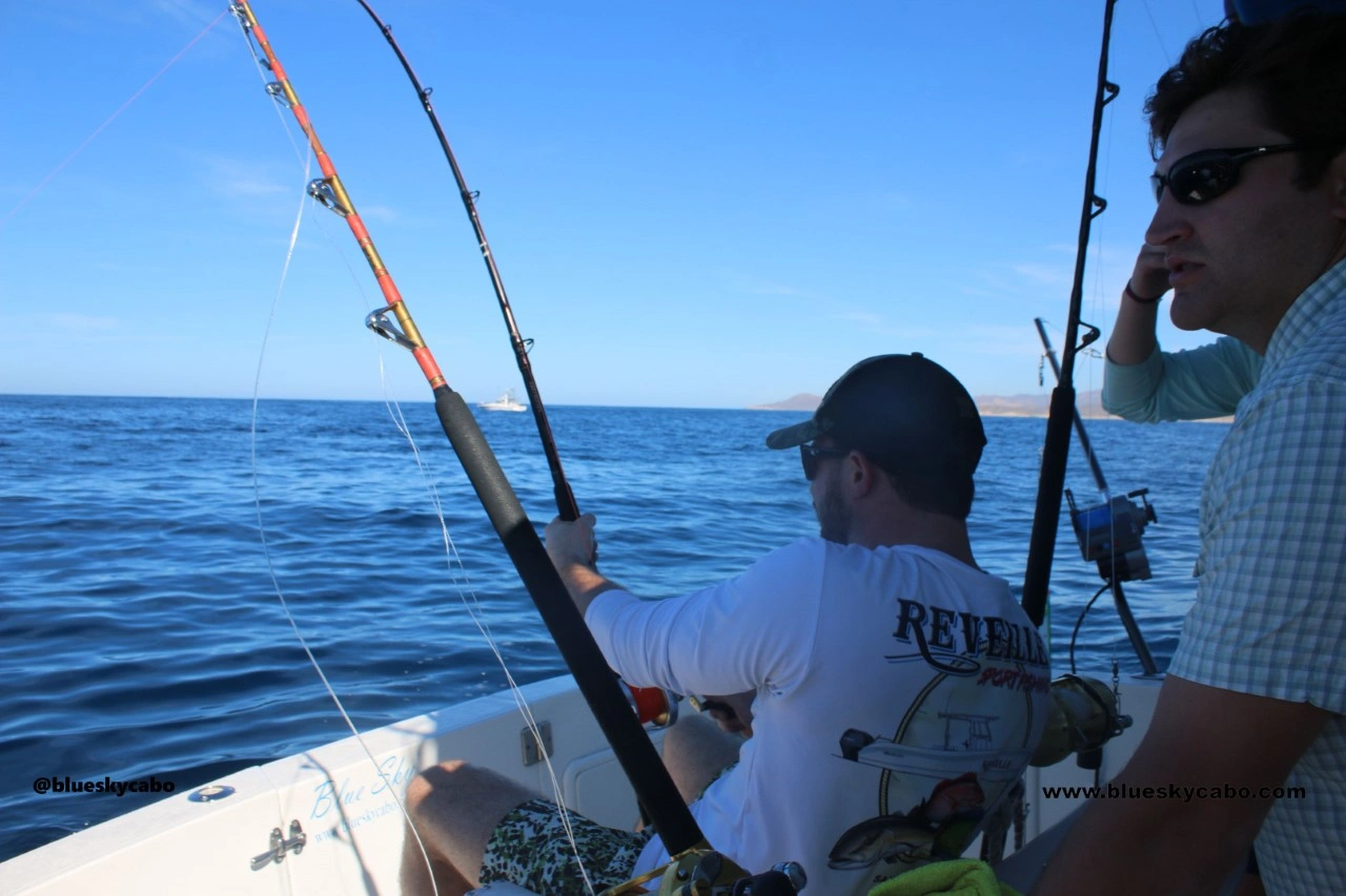Cabo Fishing Bite Window