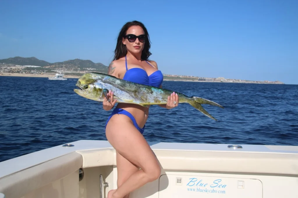 Cabo Fishing Report This Week