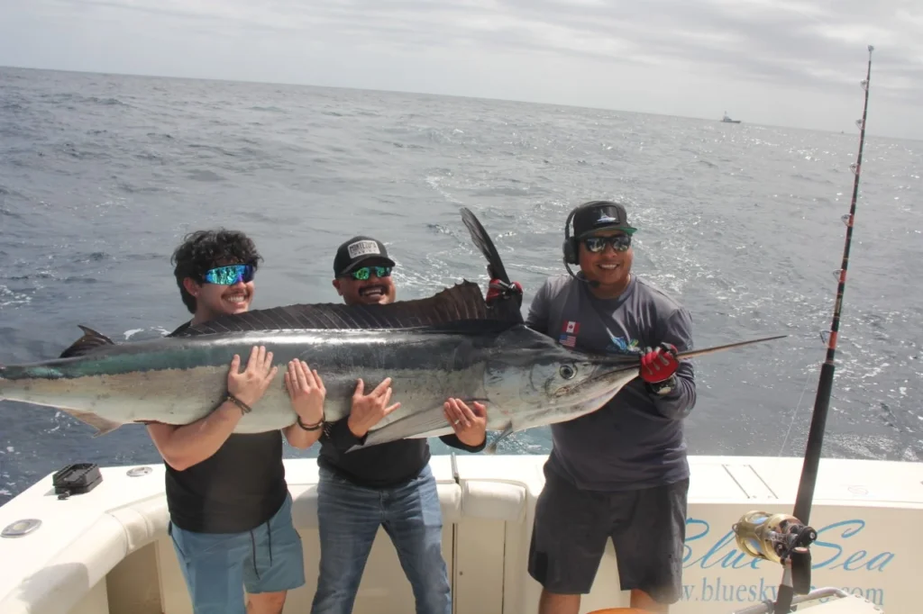 Cabo Trolling Report