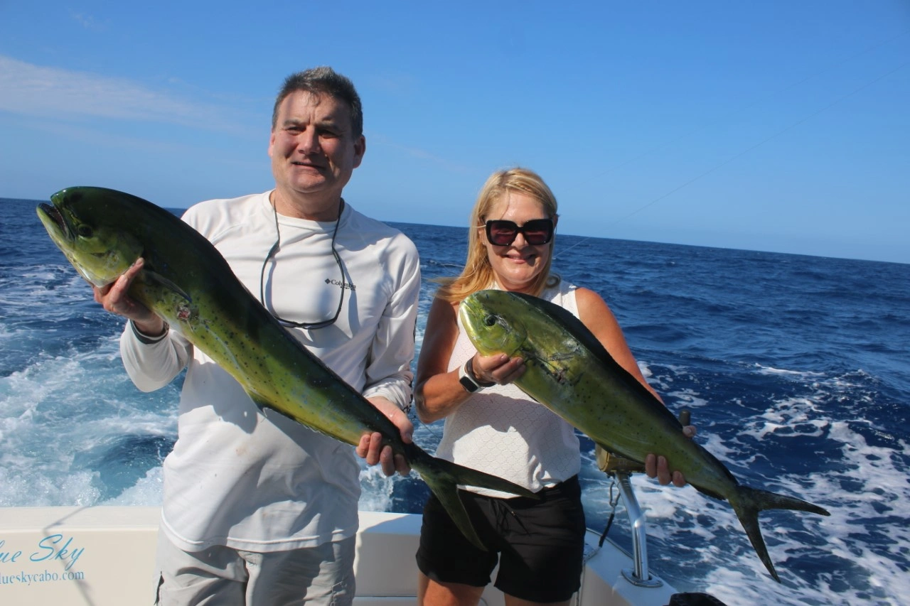 Cabo Water Temperature Fishing