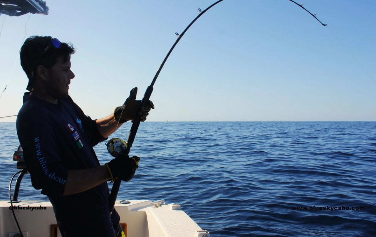 Golden Gate Bank Cabo Fishing Report 