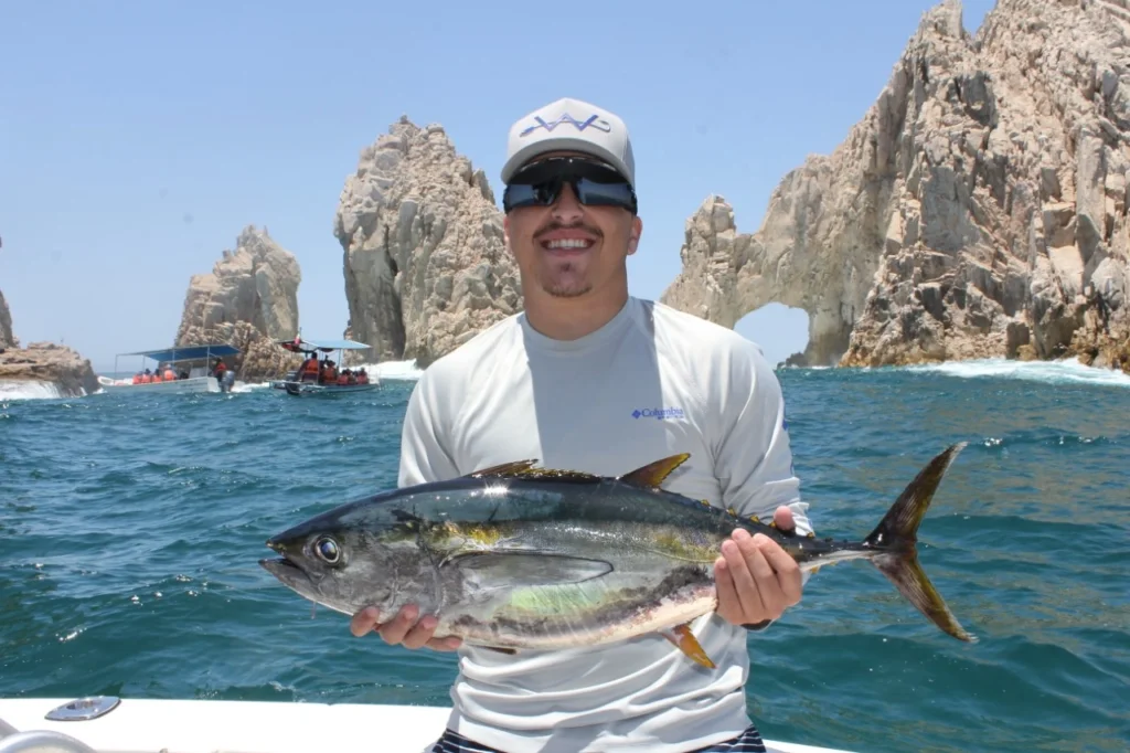 What Are the Main Fishing Seasons in Cabo