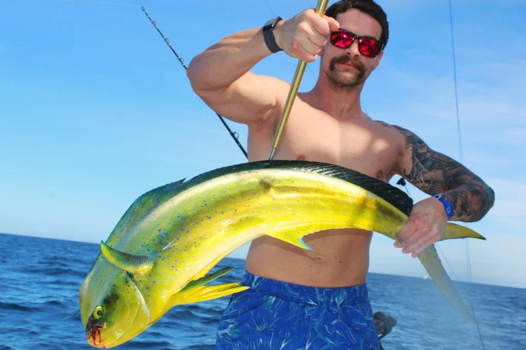 What Fish Are Biting Right Now in Cabo