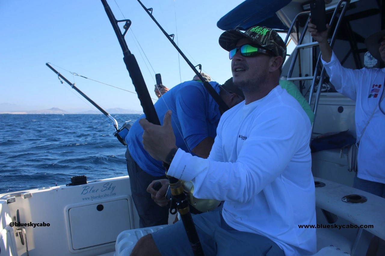 What Is Biting in Cabo ?