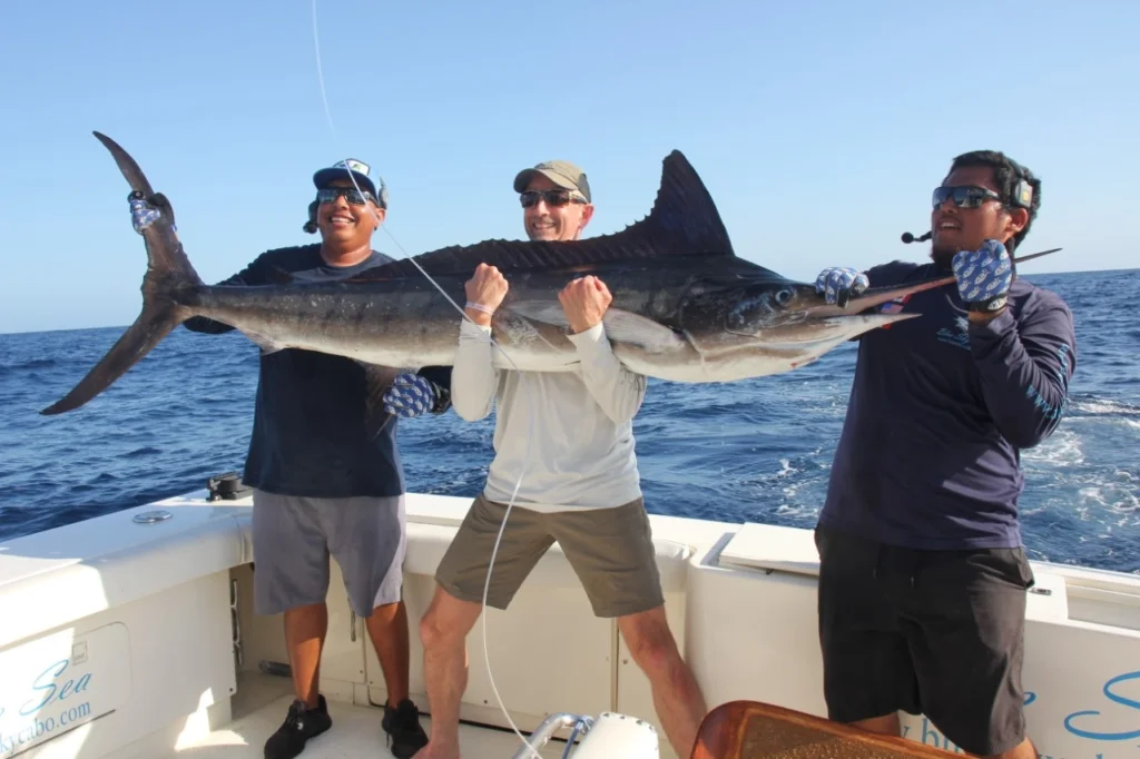 What Month Is Best for Marlin Fishing in Cabo