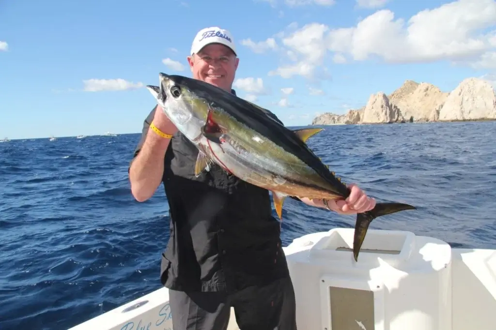 Cabo Fishing Gordo Banks