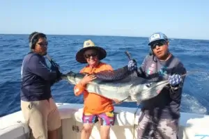 Cabo Blue Marlin Season
