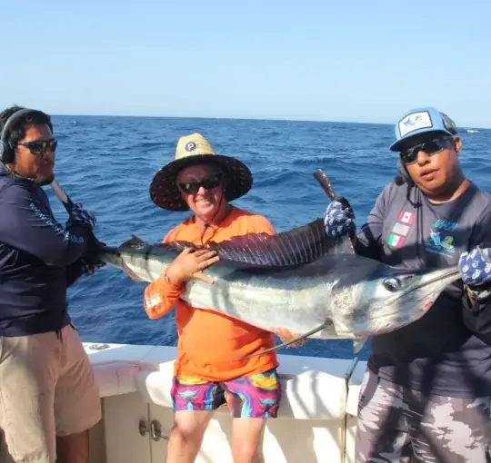 Cabo Blue Marlin Season