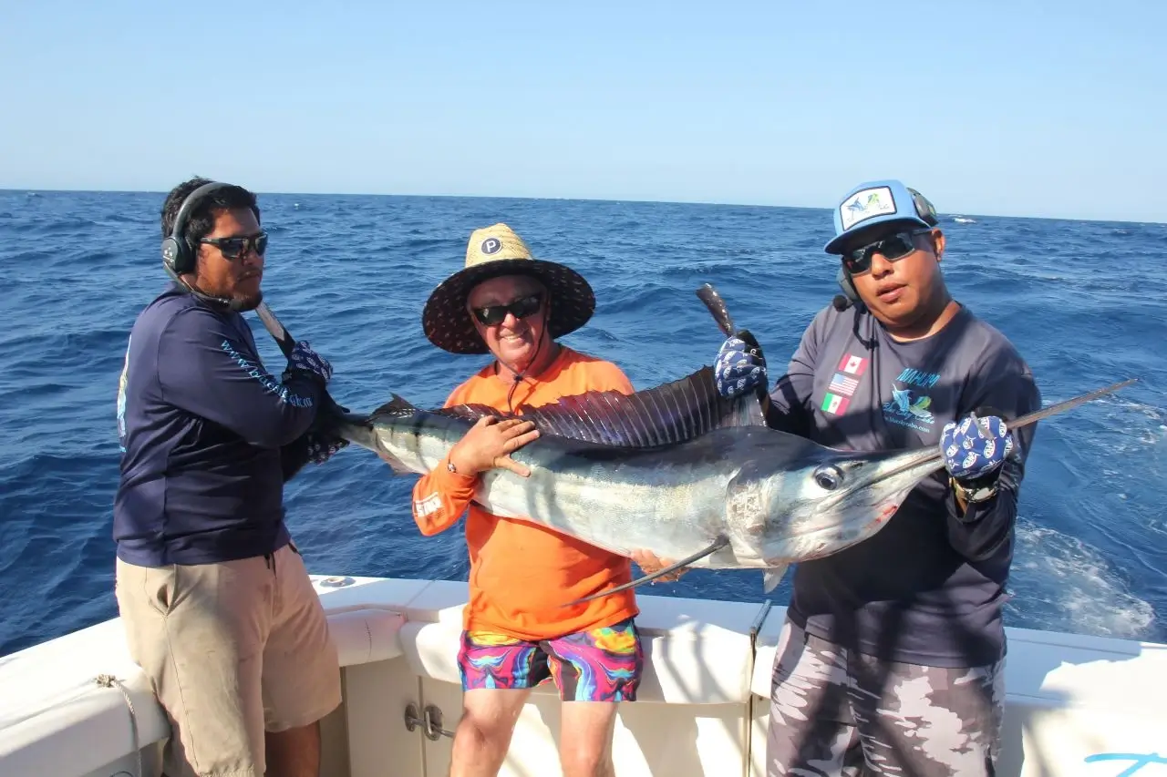 Cabo Blue Marlin Season