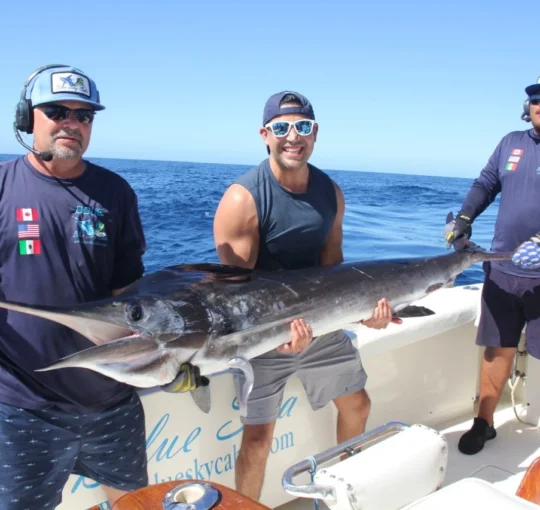 Cabo Fishing Live Bait or Lures