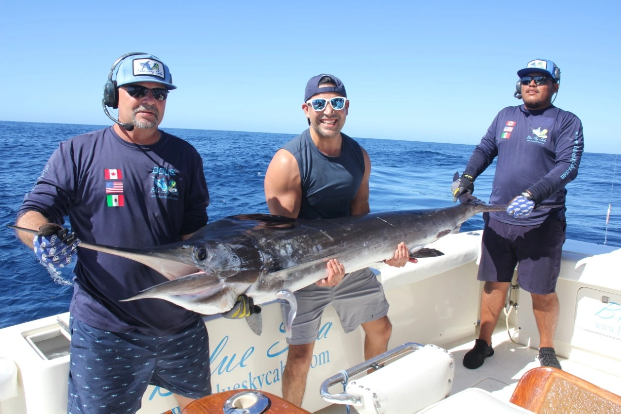 Cabo Fishing Live Bait or Lures