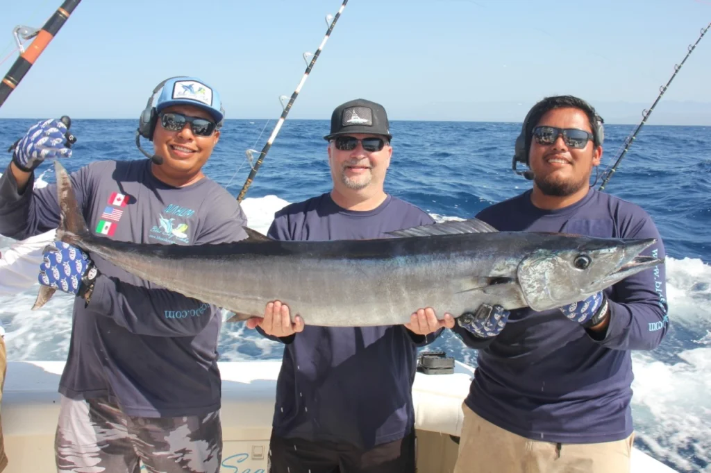 Cabo Fishing for Beginners