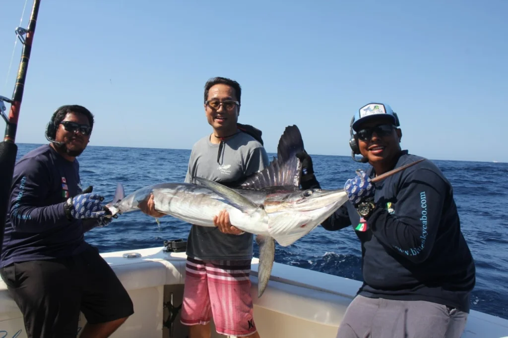 Cabo Marlin Fishing Season
