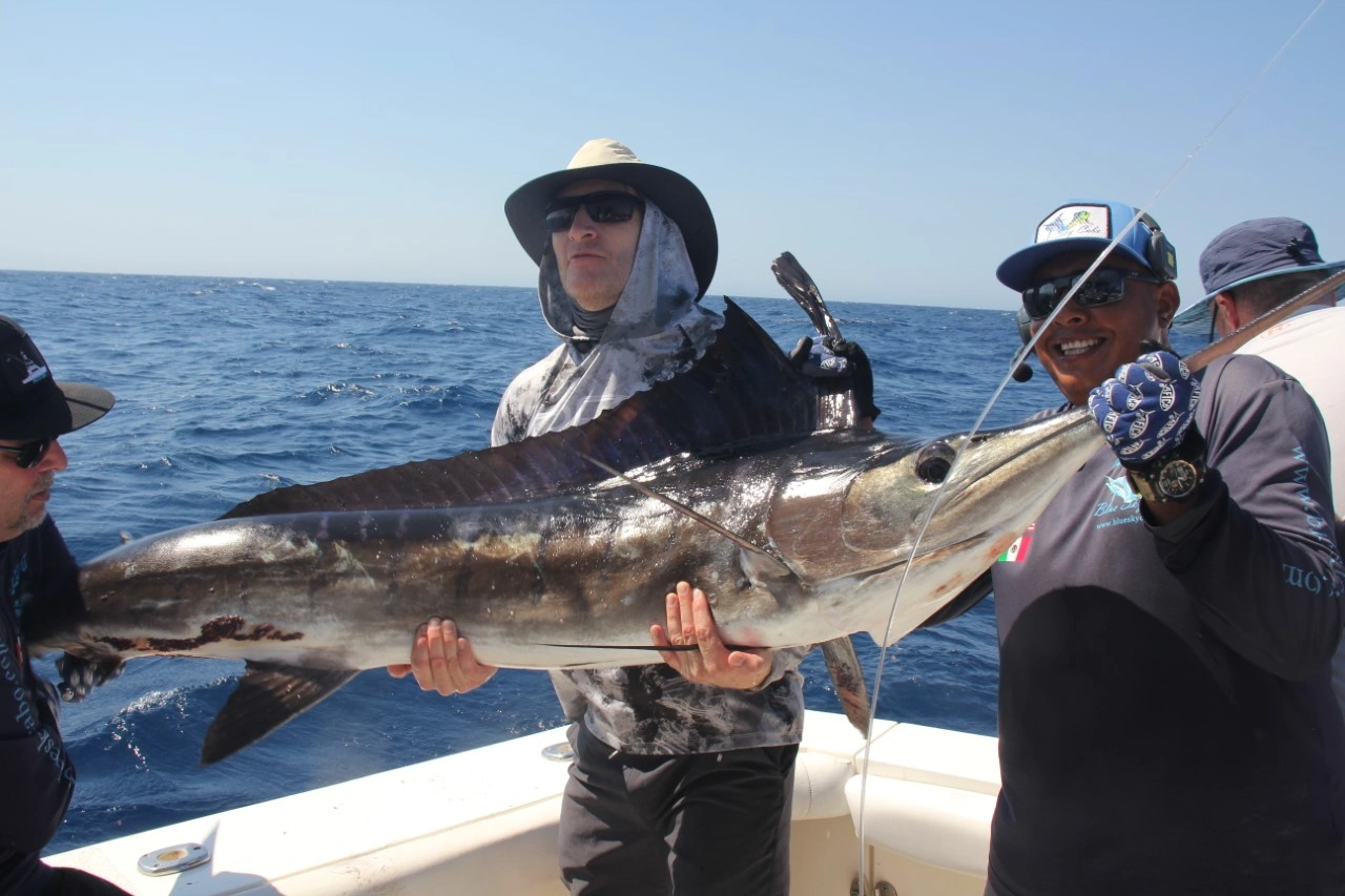 Cabo Marlin Fishing Season