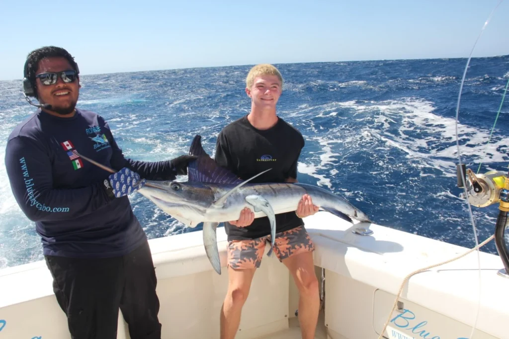 Can Beginners Catch Marlin in Cabo