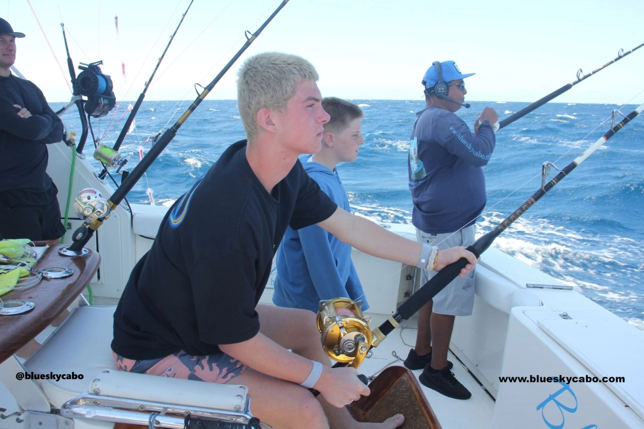 Can Beginners Catch Marlin in Cabo?