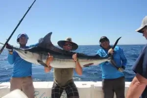 Deep Sea Fishing Cabo San Lucas