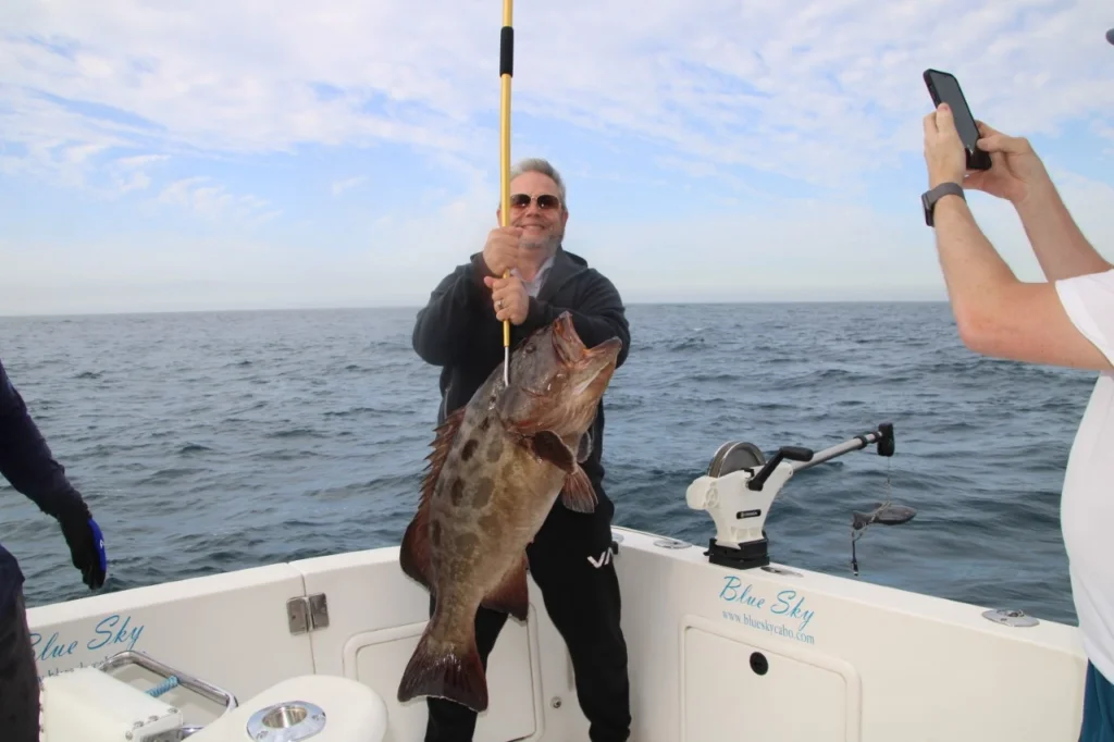 Is Catch-and-Release Practiced in Cabo 