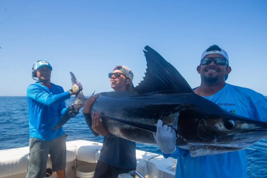 What Is the Best Bait for Marlin in Cabo