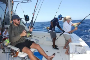 What Is the Best Bait for Marlin in Cabo