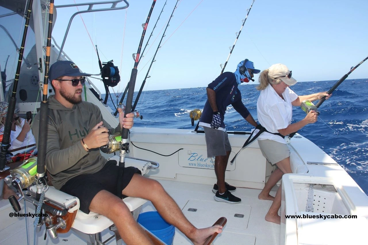 What Is the Best Bait for Marlin in Cabo?
