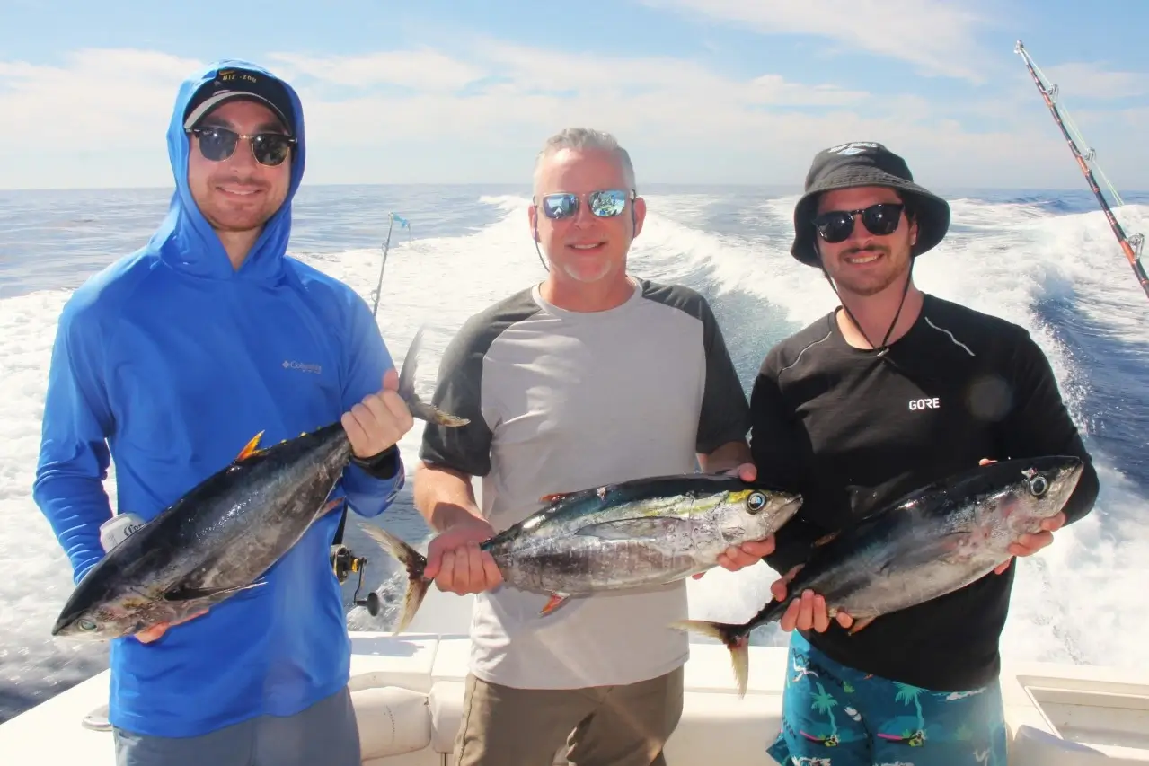 What Months Are Best for Tuna Fishing in Cabo ?