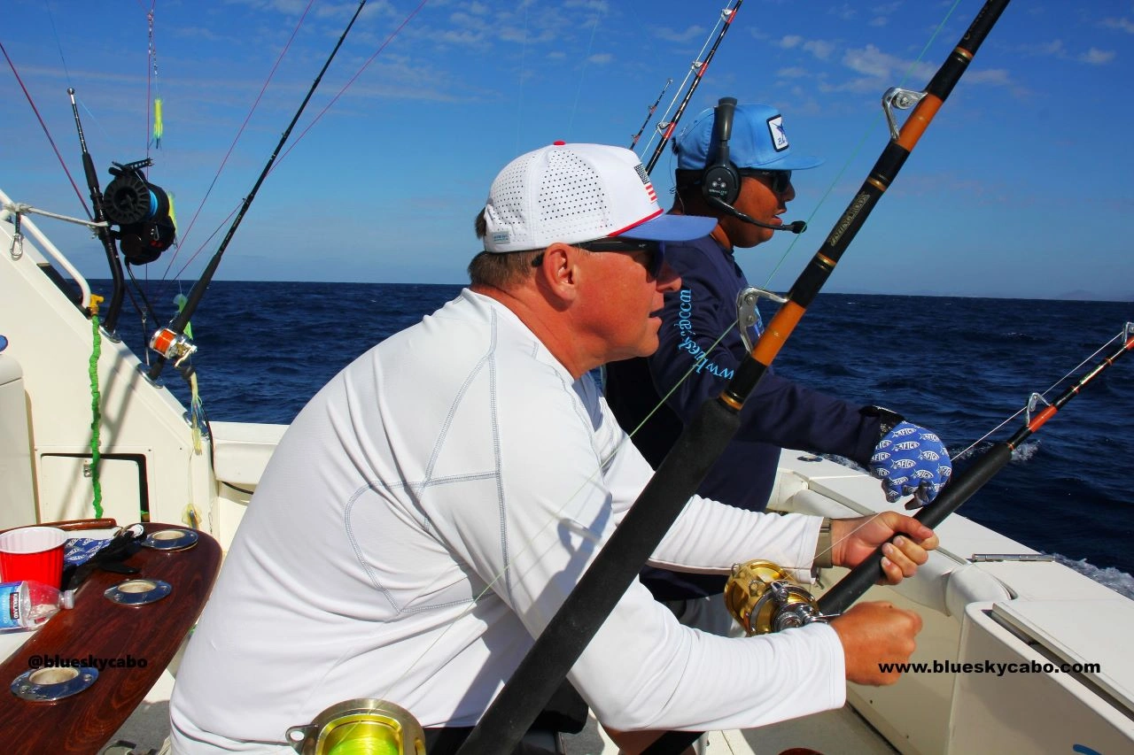 What Fish Are Biting Right Now in Cabo?