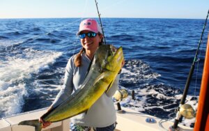 Mahi Mahi Cabo Fishing