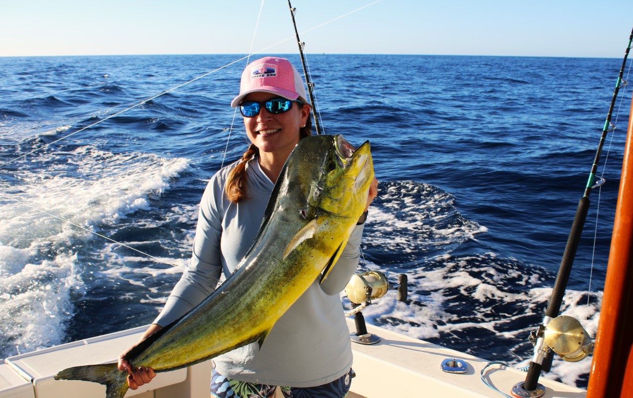 Mahi Mahi Cabo Fishing