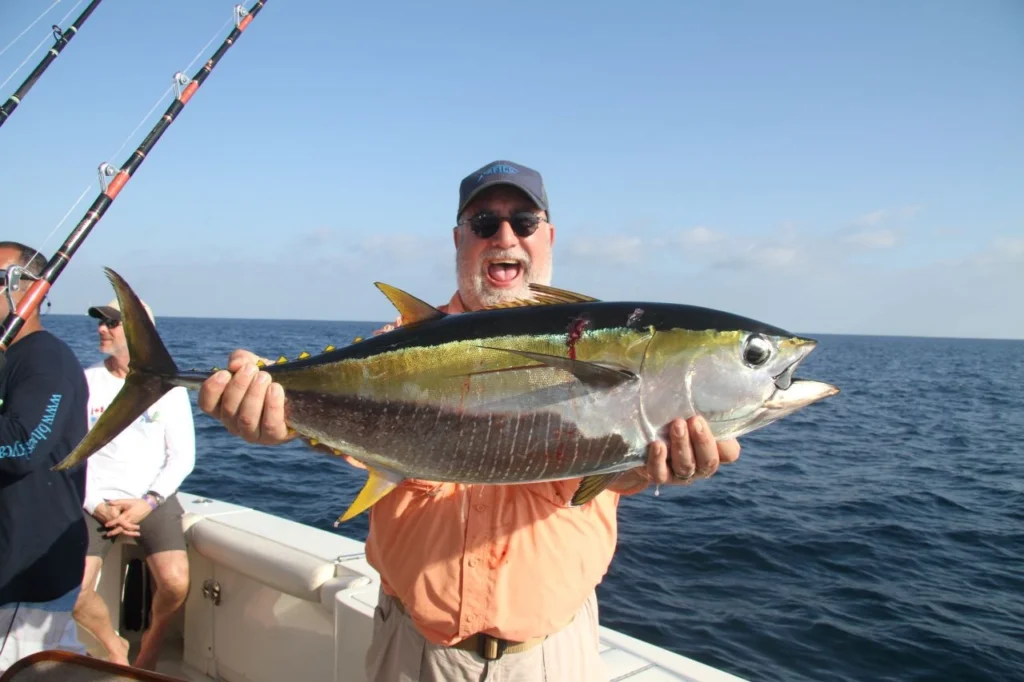 Yellowfin Tuna Fishing Cabo