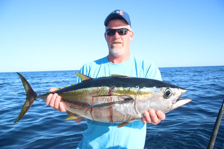 Yellowfin Tuna Fishing Cabo