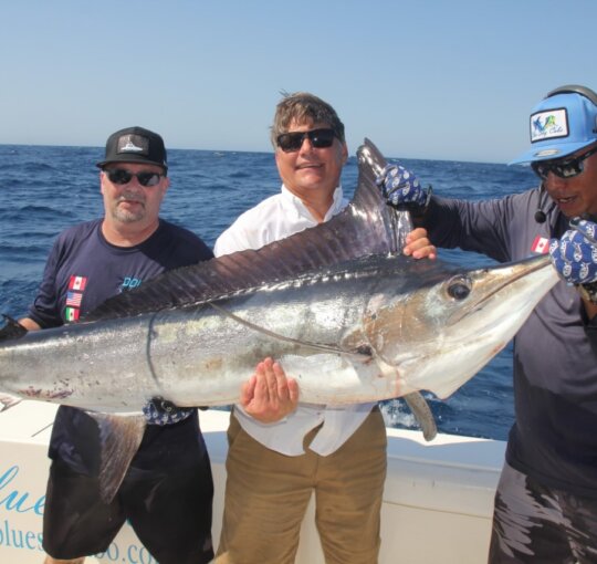 Marlin Charter Cabo