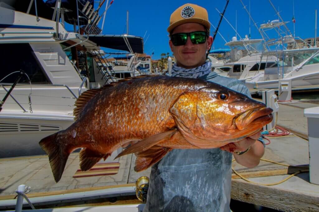 How Rough Is the Water in Cabo for Fishing