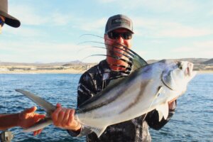 Rooster Fishing in Cabo