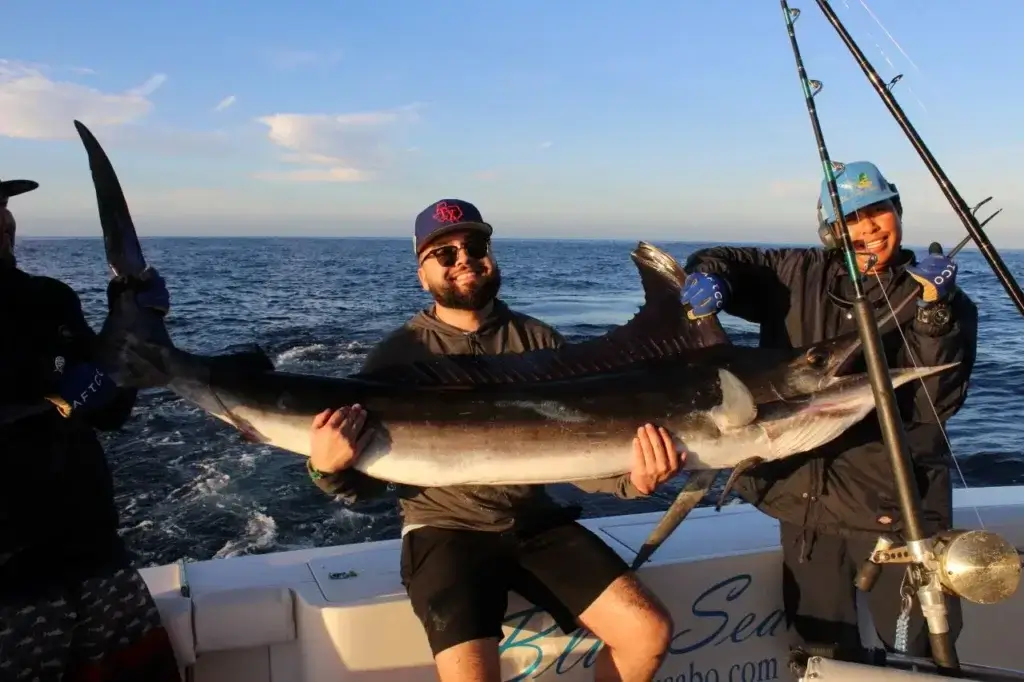When Is Black Marlin Season in Cabo