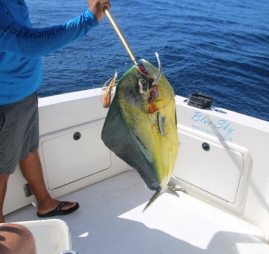 How Long Are Typical Cabo Fishing Charters?