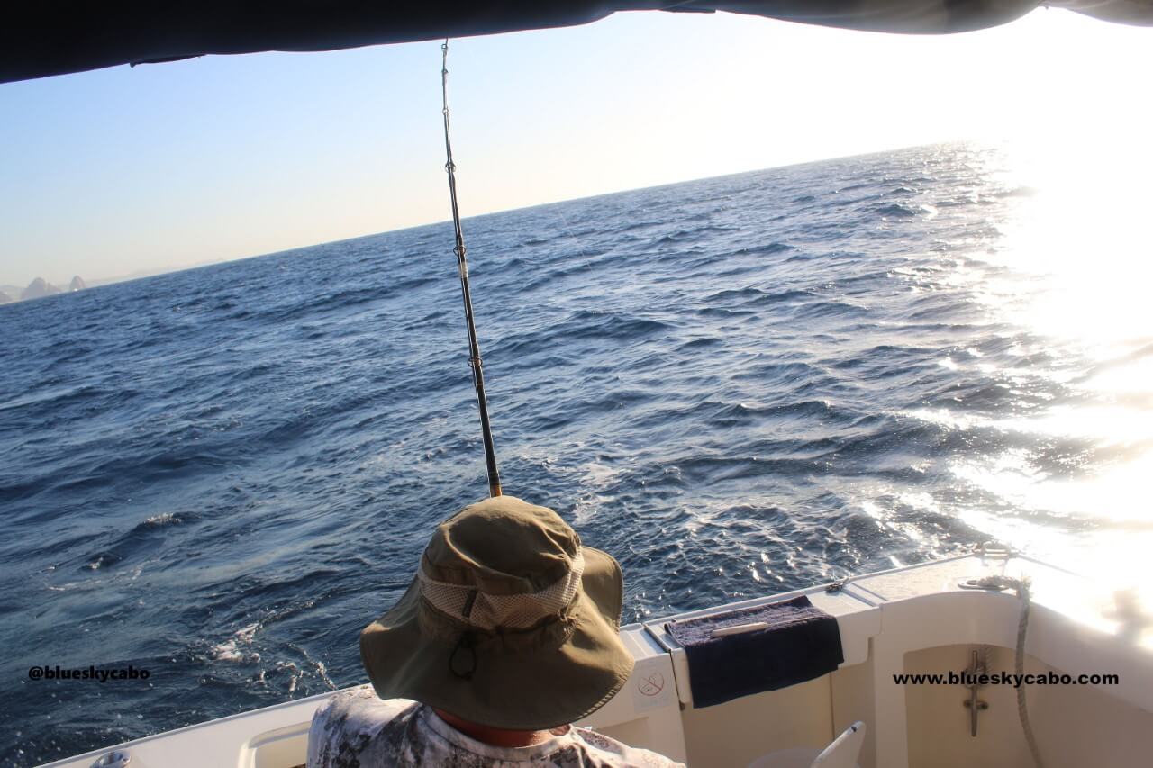 What Is Included in a Cabo Fishing Charter?