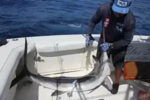What Should I Bring on a Cabo Fishing Trip