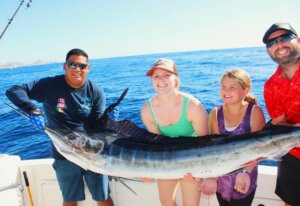 When Is Marlin Season in Cabo San Lucas