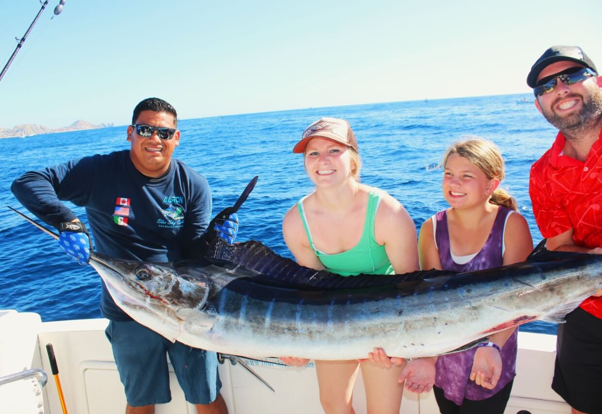 When Is Marlin Season in Cabo San Lucas?